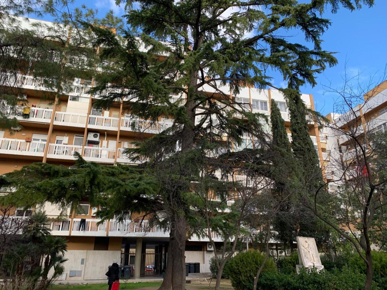 Agorà B&B Urban Relais Canosa di Puglia Bagian luar foto